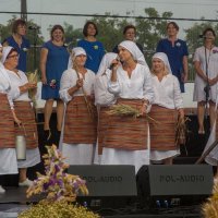 Zobacz w powiększeniu: Dożynki gminne 2020 część 2 (14)