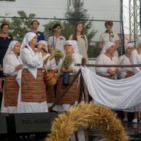 Zobacz w powiększeniu: Dożynki gminne 2020 część 2 (17)