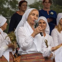 Zobacz w powiększeniu: Dożynki gminne 2020 część 2 (21)