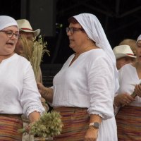 Zobacz w powiększeniu: Dożynki gminne 2020 część 2 (22)