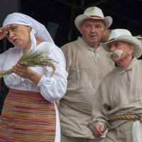 Zobacz w powiększeniu: Dożynki gminne 2020 część 2 (23)