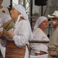 Zobacz w powiększeniu: Dożynki gminne 2020 część 2 (25)