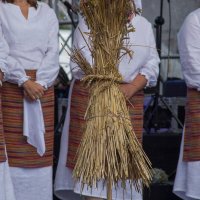 Zobacz w powiększeniu: Dożynki gminne 2020 część 2 (29)