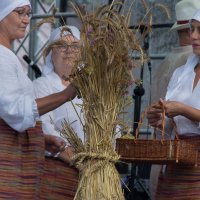 Zobacz w powiększeniu: Dożynki gminne 2020 część 2 (31)