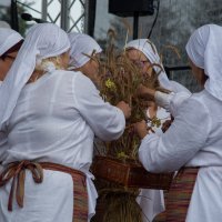 Zobacz w powiększeniu: Dożynki gminne 2020 część 2 (33)