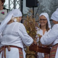 Zobacz w powiększeniu: Dożynki gminne 2020 część 2 (34)