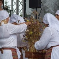 Zobacz w powiększeniu: Dożynki gminne 2020 część 2 (36)