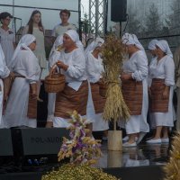 Zobacz w powiększeniu: Dożynki gminne 2020 część 2 (38)