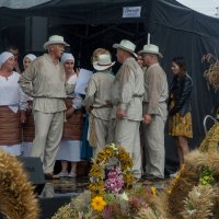 Zobacz w powiększeniu: Dożynki gminne 2020 część 2 (40)