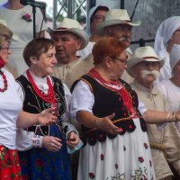 Zobacz w powiększeniu: Dożynki gminne 2020 część 2 (57)