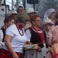 Zobacz w powiększeniu: Dożynki gminne 2020 część 2 (58)