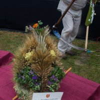 Zobacz w powiększeniu: Dożynki gminne 2020 część 2 (9)