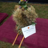 Zobacz w powiększeniu: Dożynki gminne 2020 część 2 (10)