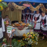 Zobacz w powiększeniu: Dożynki gminne 2020 część 2 (26)