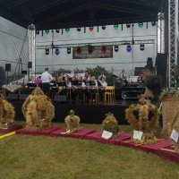 Zobacz w powiększeniu: Dożynki gminne 2020 część 2 (28)