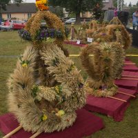 Zobacz w powiększeniu: Dożynki gminne 2020 część 2 (32)