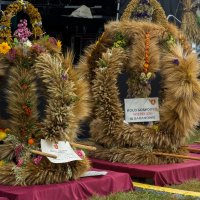 Zobacz w powiększeniu: Dożynki gminne 2020 część 2 (39)