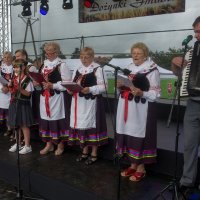 Zobacz w powiększeniu: Dożynki gminne 2020 część 2 (54)