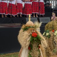 Zobacz w powiększeniu: Dożynki gminne 2020 część 2 (61)