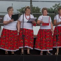 Zobacz w powiększeniu: Dożynki gminne 2020 część 2 (62)