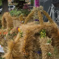 Zobacz w powiększeniu: Dożynki gminne 2020 część 2 (63)