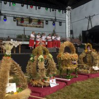Zobacz w powiększeniu: Dożynki gminne 2020 część 2 (64)