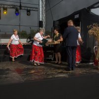 Zobacz w powiększeniu: Dożynki gminne 2020 część 2 (65)