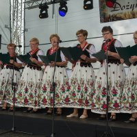 Zobacz w powiększeniu: Dożynki gminne 2020 część 2 (70)