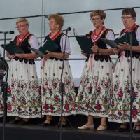 Zobacz w powiększeniu: Dożynki gminne 2020 część 2 (71)