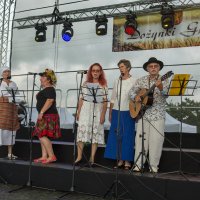 Zobacz w powiększeniu: Dożynki gminne 2020 część 2 (74)