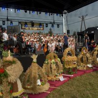 Zobacz w powiększeniu: Dożynki gminne 2020 część 2 (14)