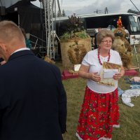 Zobacz w powiększeniu: Dożynki gminne 2020 część 2 (49)