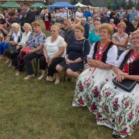 Zobacz w powiększeniu: Dożynki gminne 2020 część 2 (65)