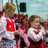 Zobacz w powiększeniu: Dożynki gminne 2020 część 2 (26)