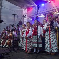 Zobacz w powiększeniu: Dożynki gminne 2020 część 2 (39)