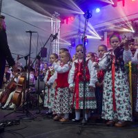 Zobacz w powiększeniu: Dożynki gminne 2020 część 2 (40)