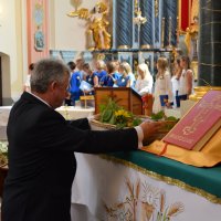 Zobacz w powiększeniu: Dożynki Gminne Baranów 2022 (35)